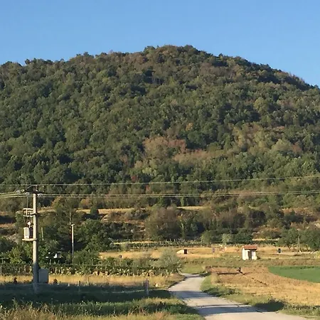 Zule Roč