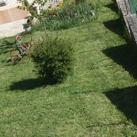 Zule